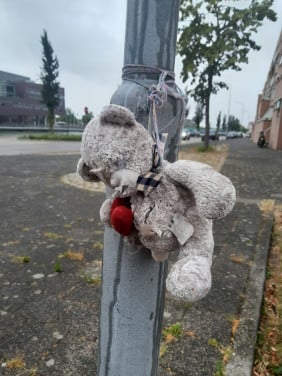 Gevonden  knuffel / beertje