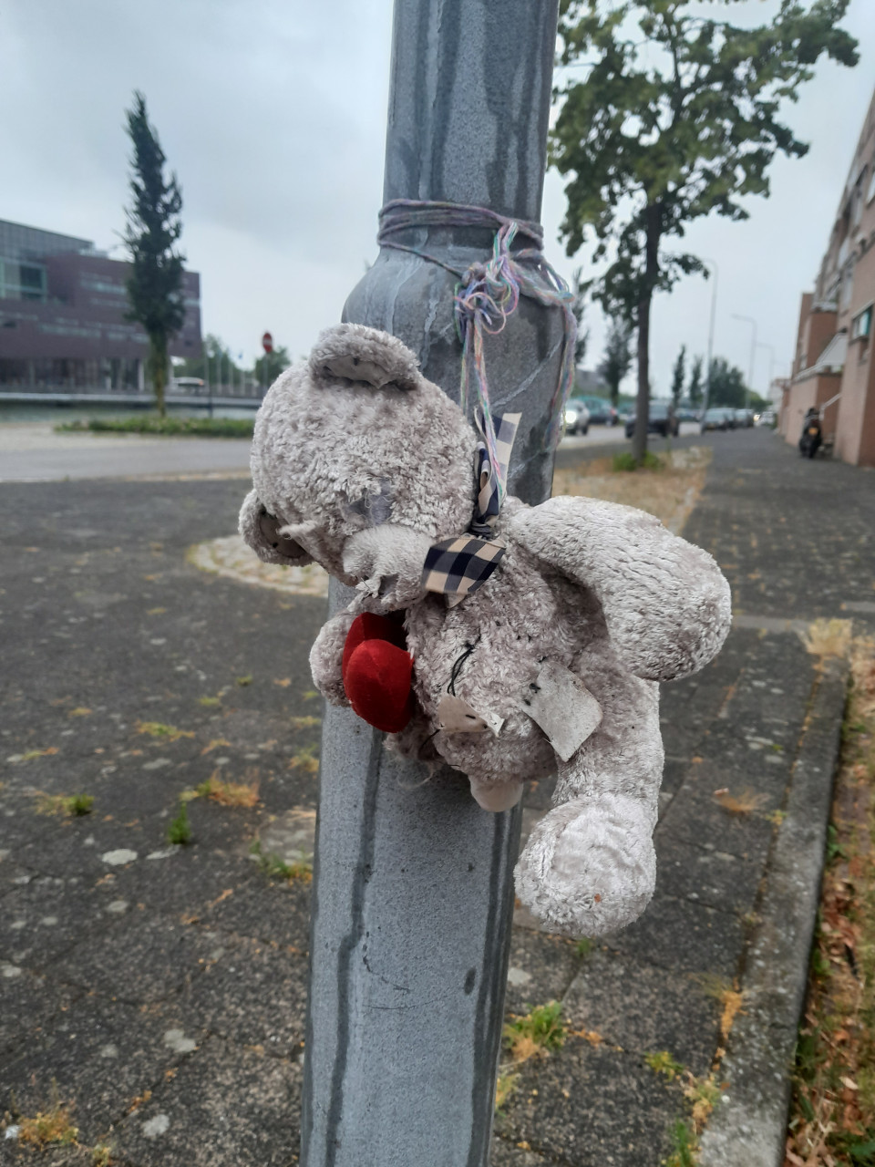 Gevonden  knuffel / beertje