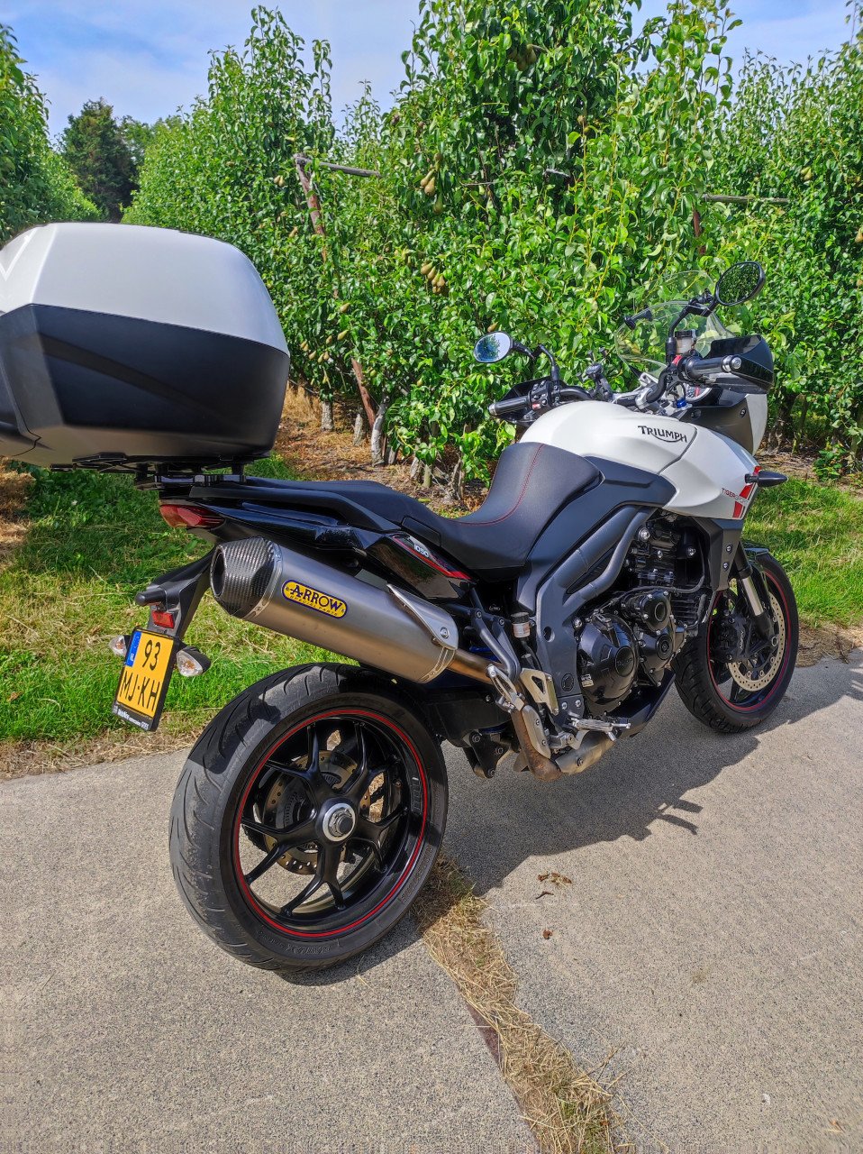 Triumph tiger 1050 sport