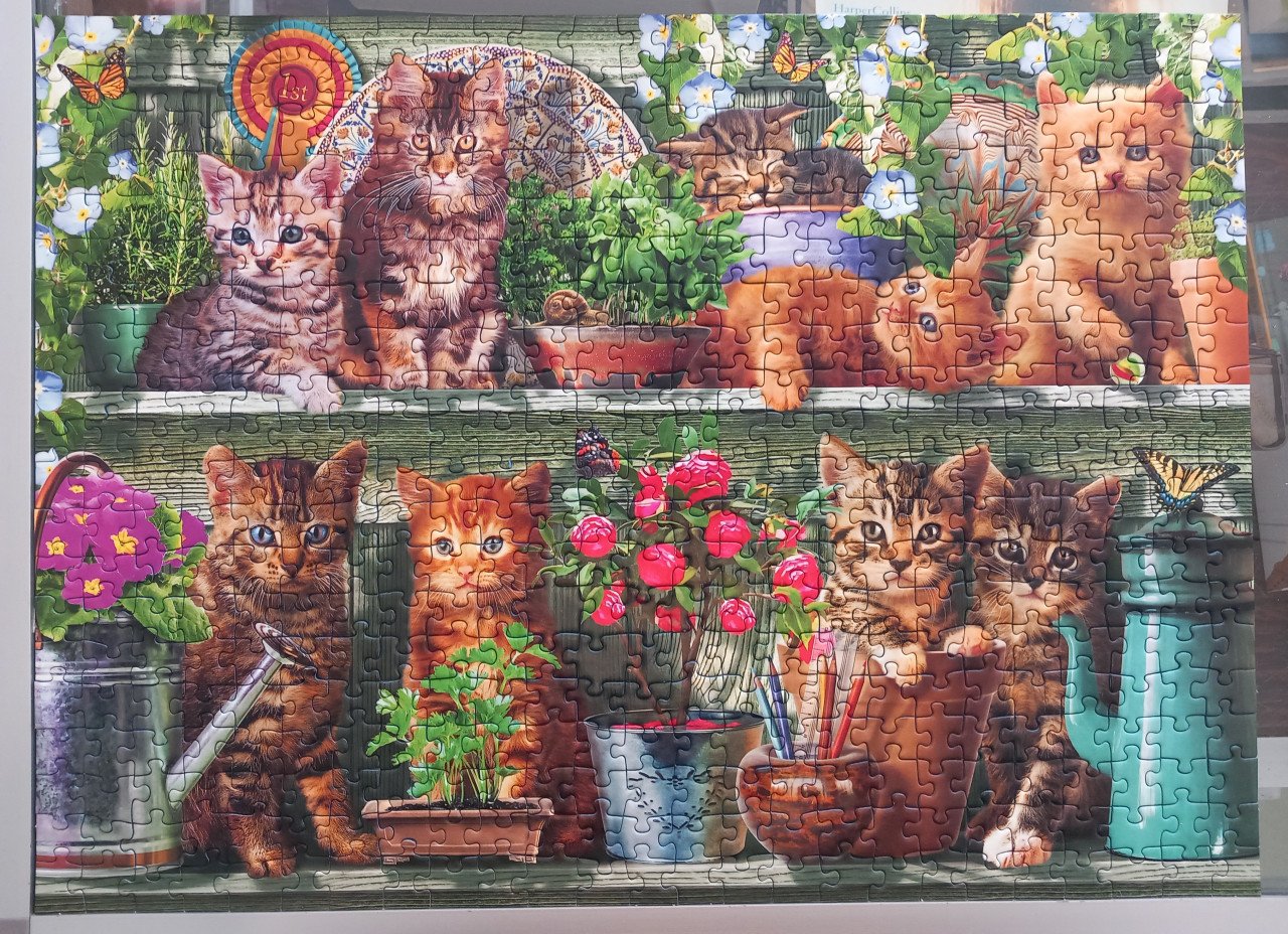 Puzzel Katjes in het rek