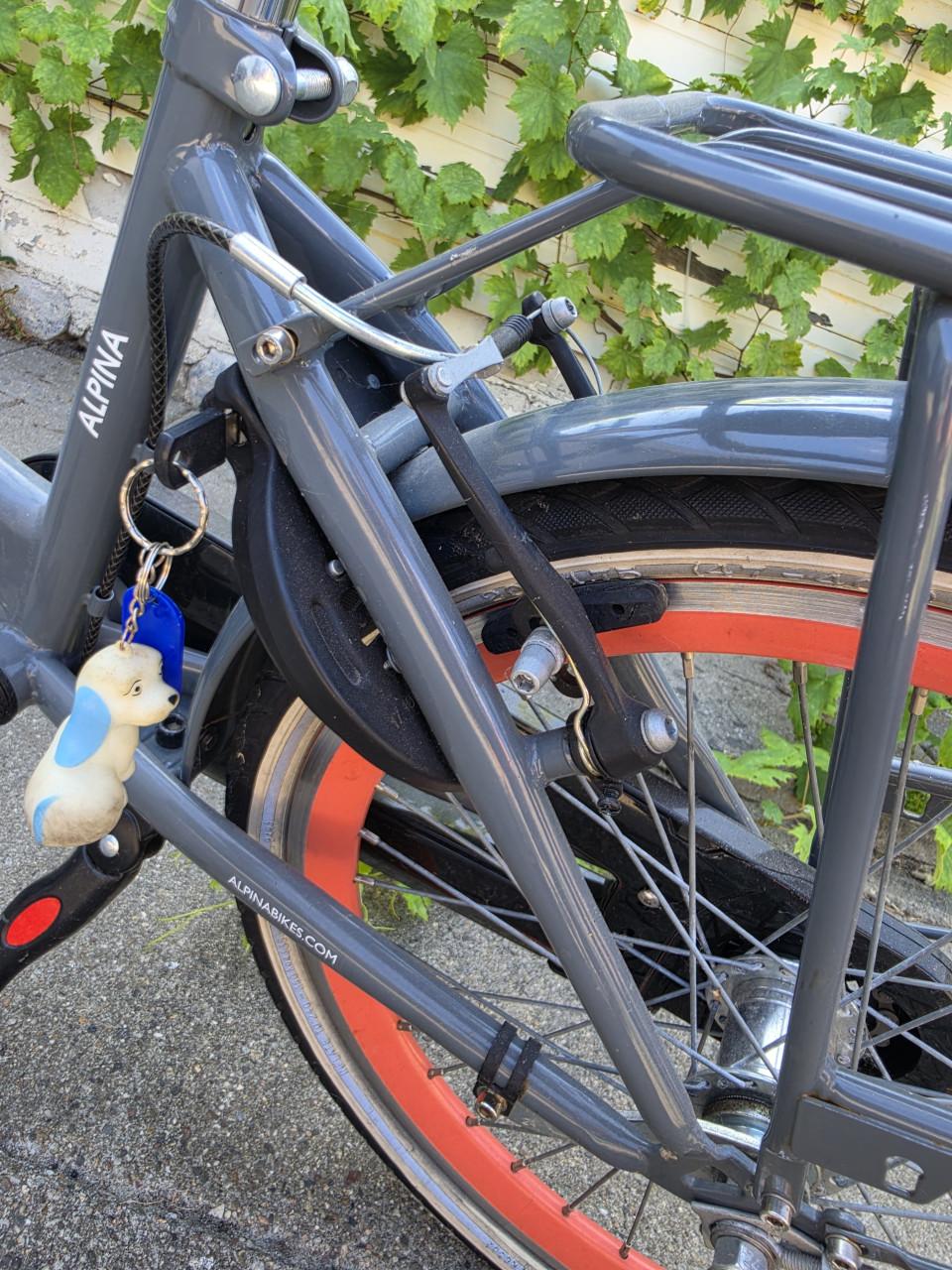 Meisjes fiets 6-9jaar