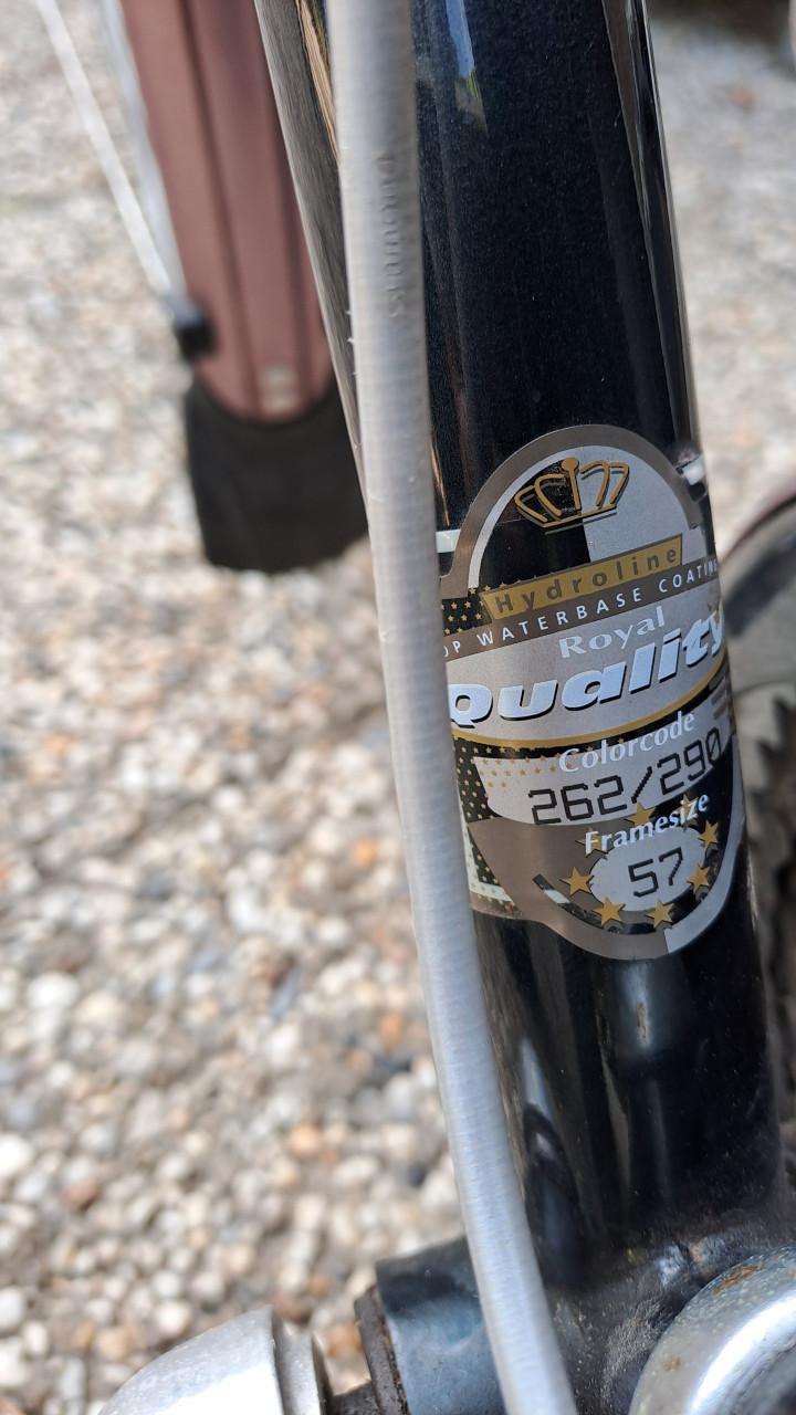 Gazelle Bahia damesfiets 21 versn.