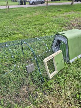 Omlet eglu kippenren met automatische deur