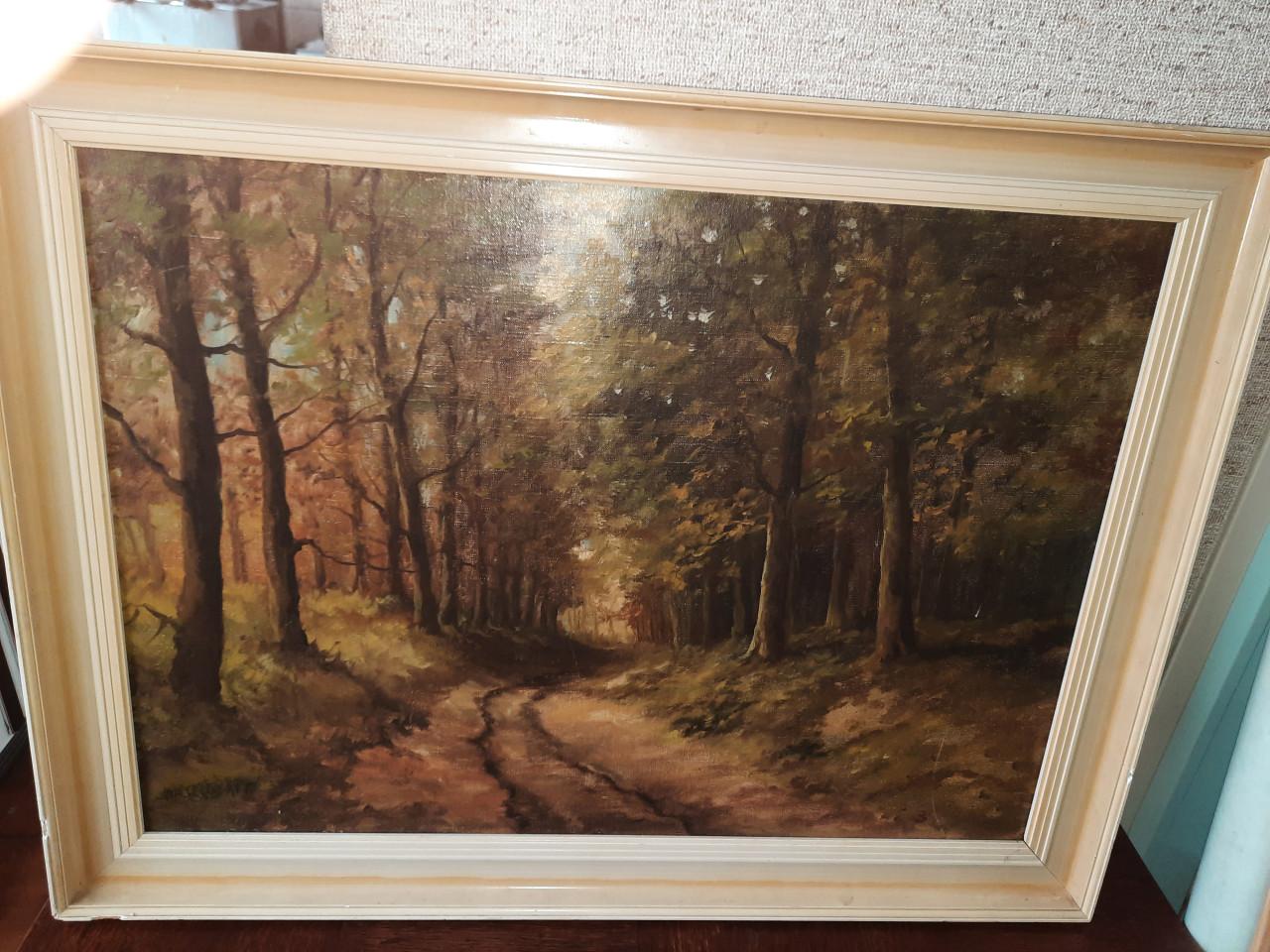 Olieverf schilderijen boslandschappen