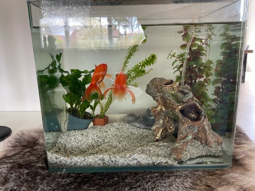 Aquarium klein