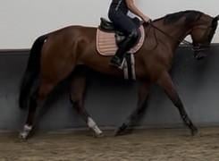 Mooie grote allrounder