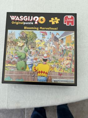 Wasgij Original pzzel 6
