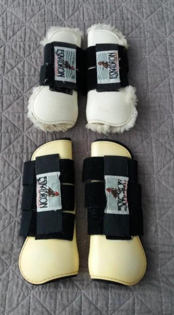 Eskadron beschermers