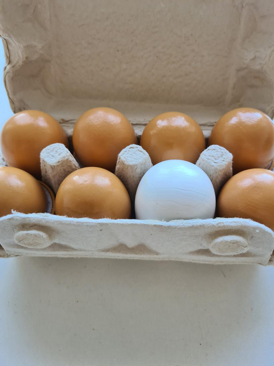 Houten speel keuken met geluiden , licht en ongeveer 150 accessoires