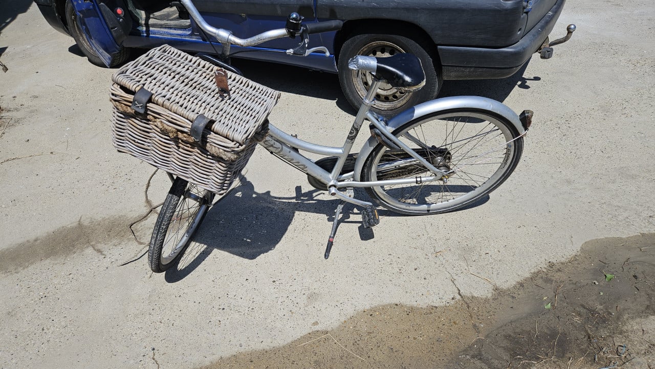 Batavus diva