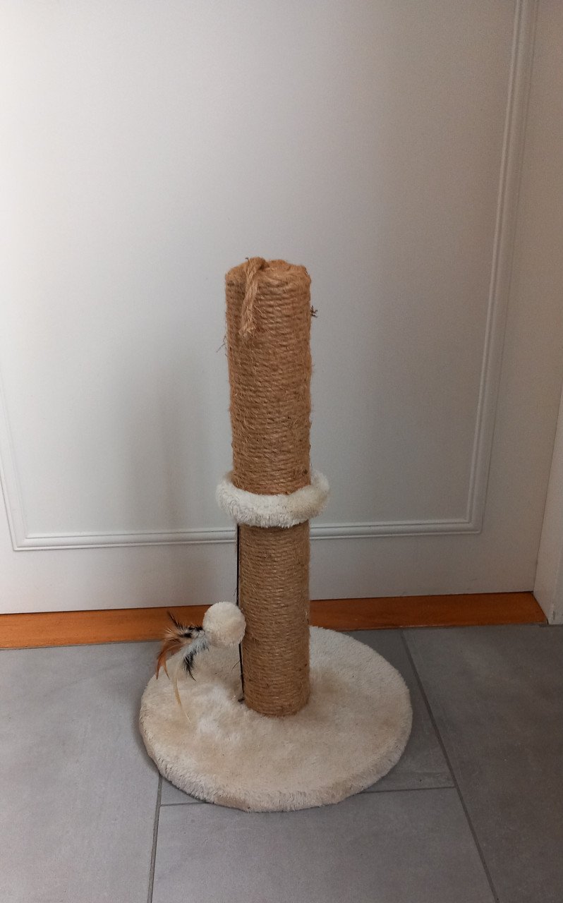 Krabpaal kat