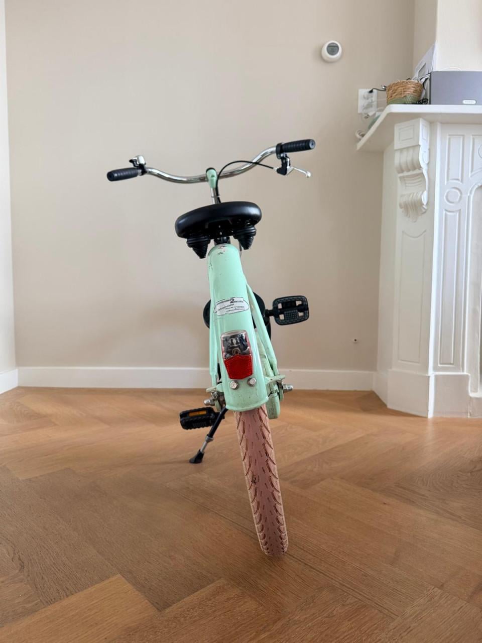 Alpina Ocean 22 inch kinderfiets mintgroen/roze