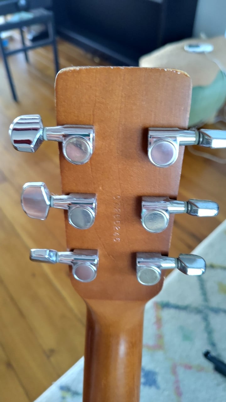 Art & Lutherie Cedar Dreadnought