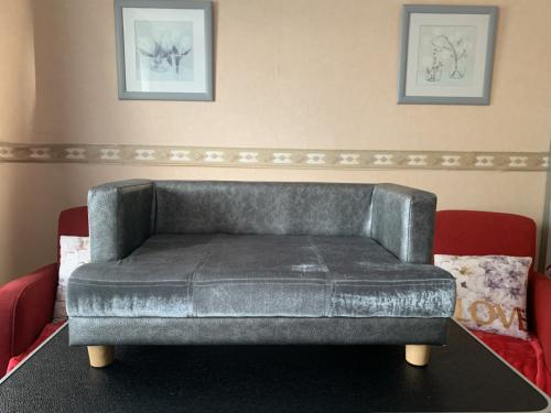 Hondensofa