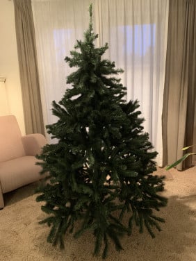 Kerstboom
