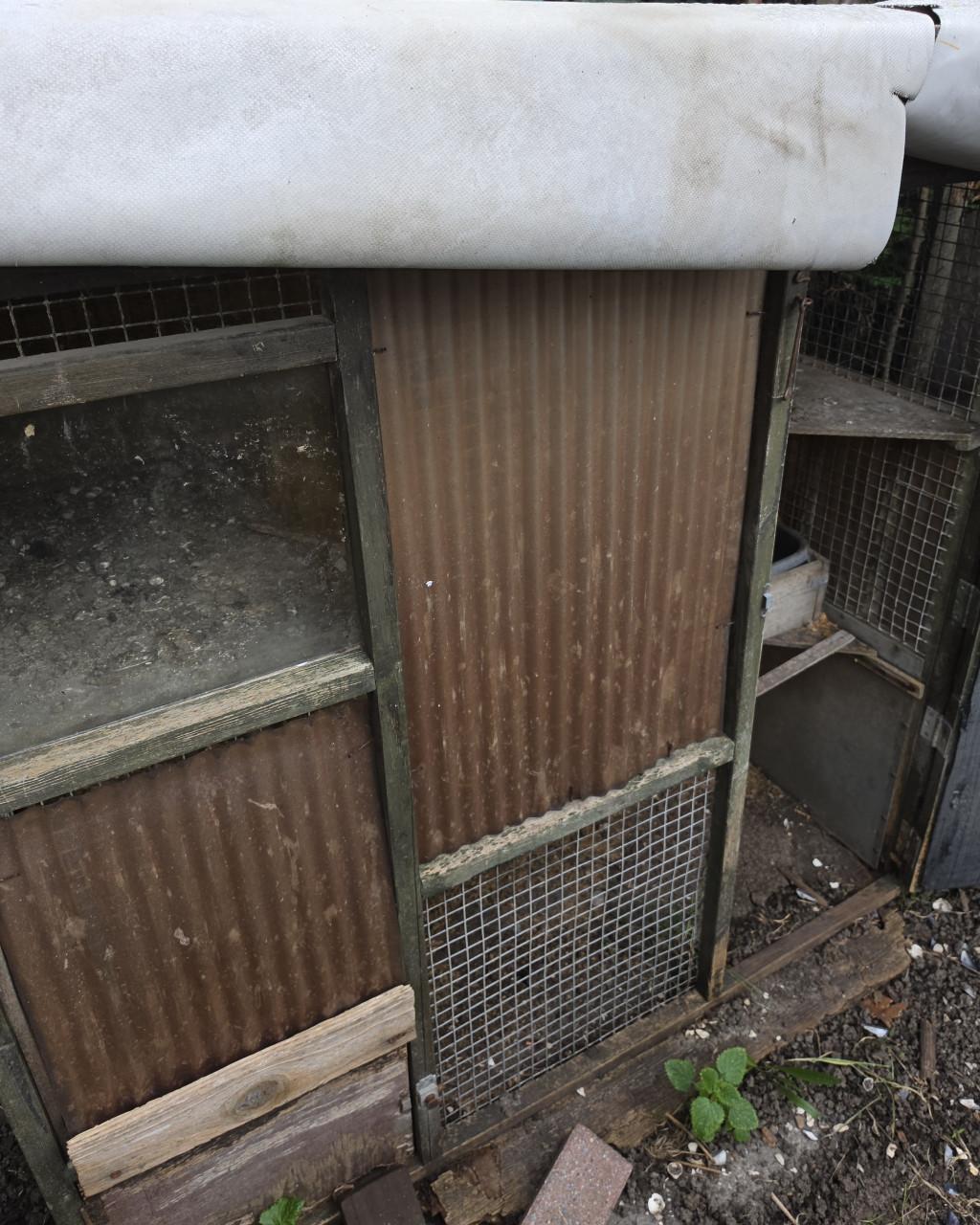 Kippenhok konijnen hok cavia ren binnen buiten
