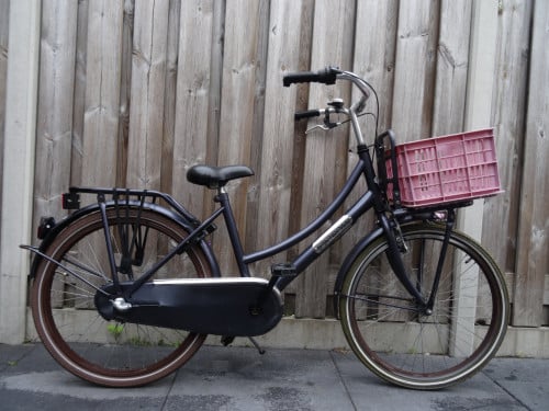 Popal Daily Dutch 24 inch meisjesfiets 3 versnellingen