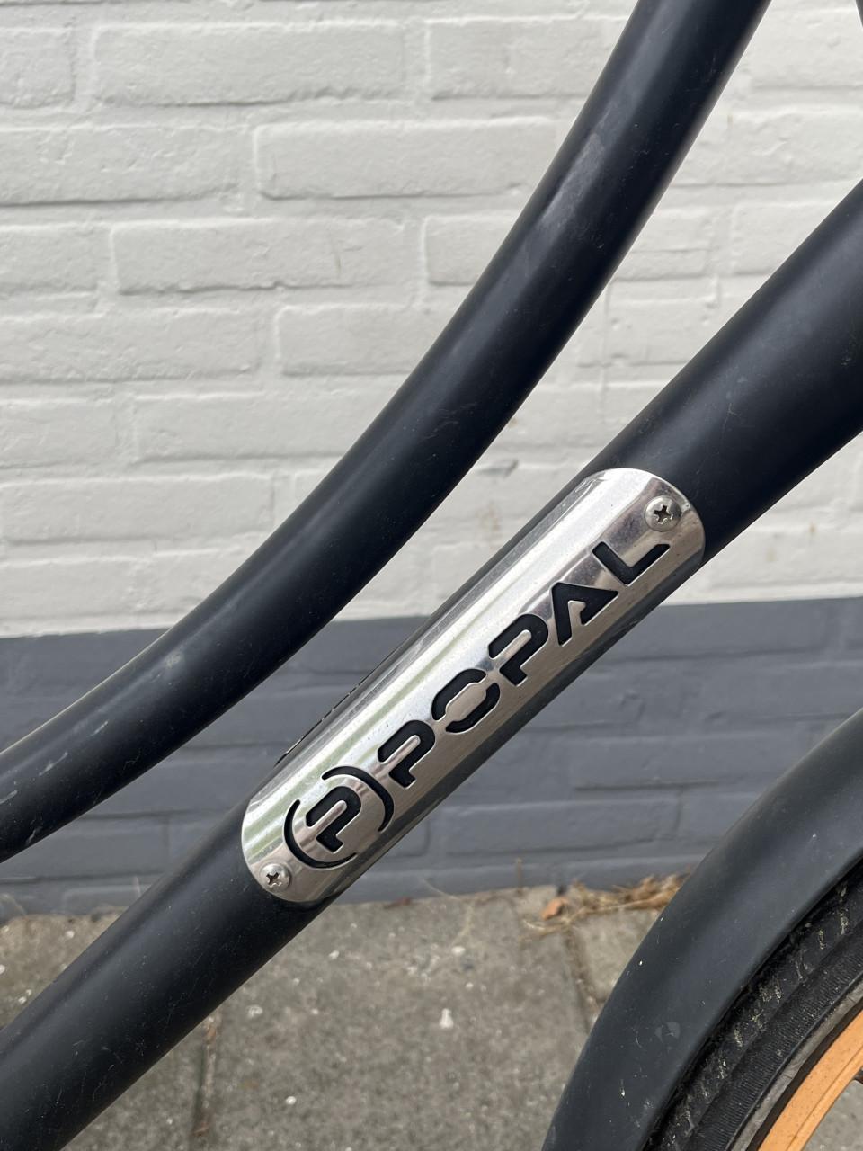 Leuke popal Meiden fiets