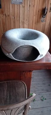 Kattenmand/donut
