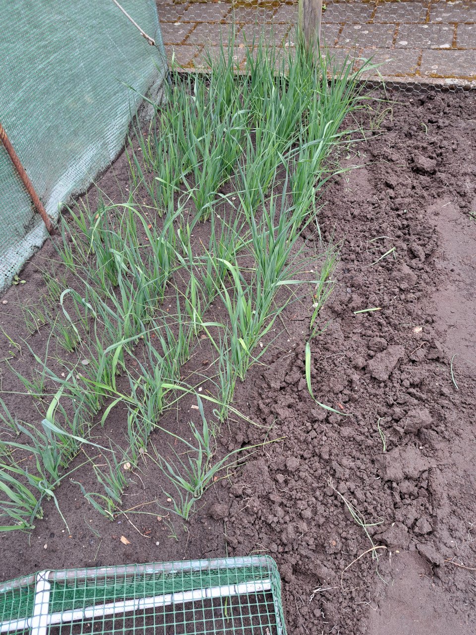 Preiplanten