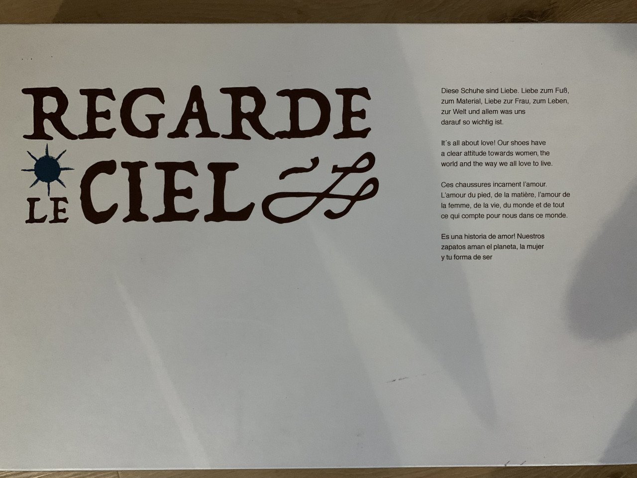 LEREN LAARZEN VAN REGARDE LE CIEL, MT 38