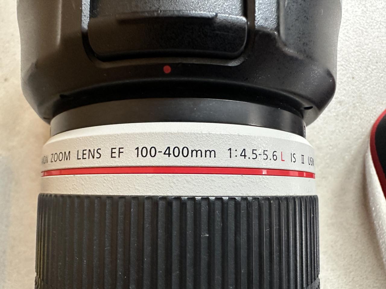 Fotocamera: Canon EOS 90D met 100-400 mm lens
