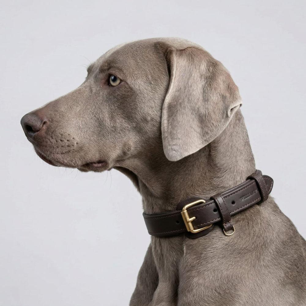Leren halsband William Walker