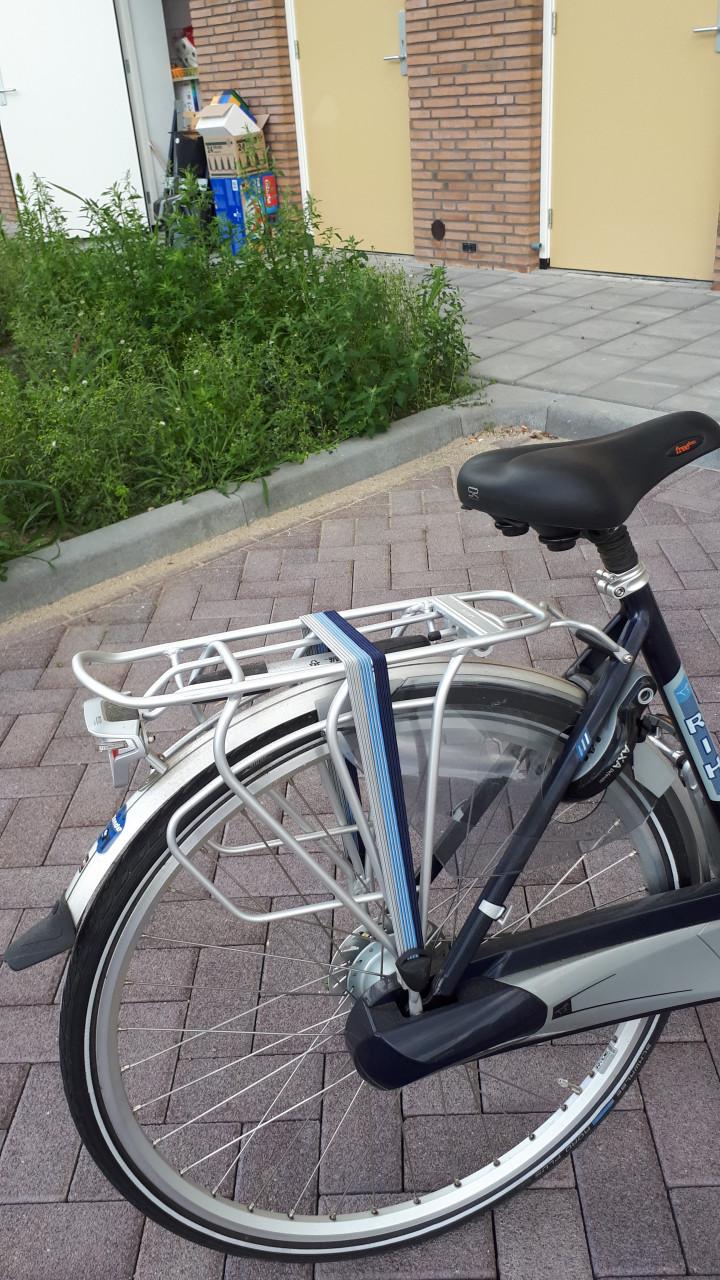 Damesfiets met lage instap