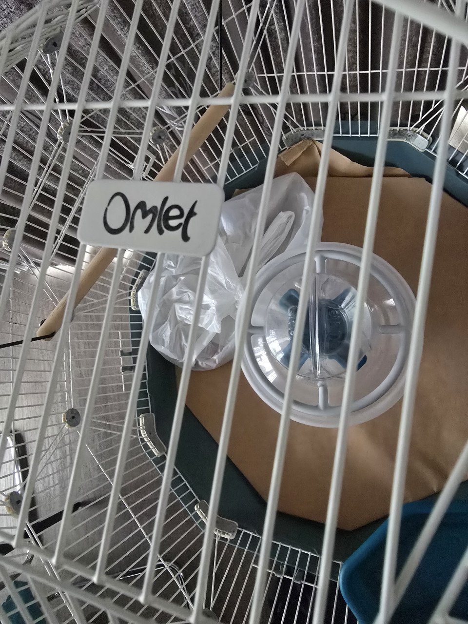Super vogelkooi omlet