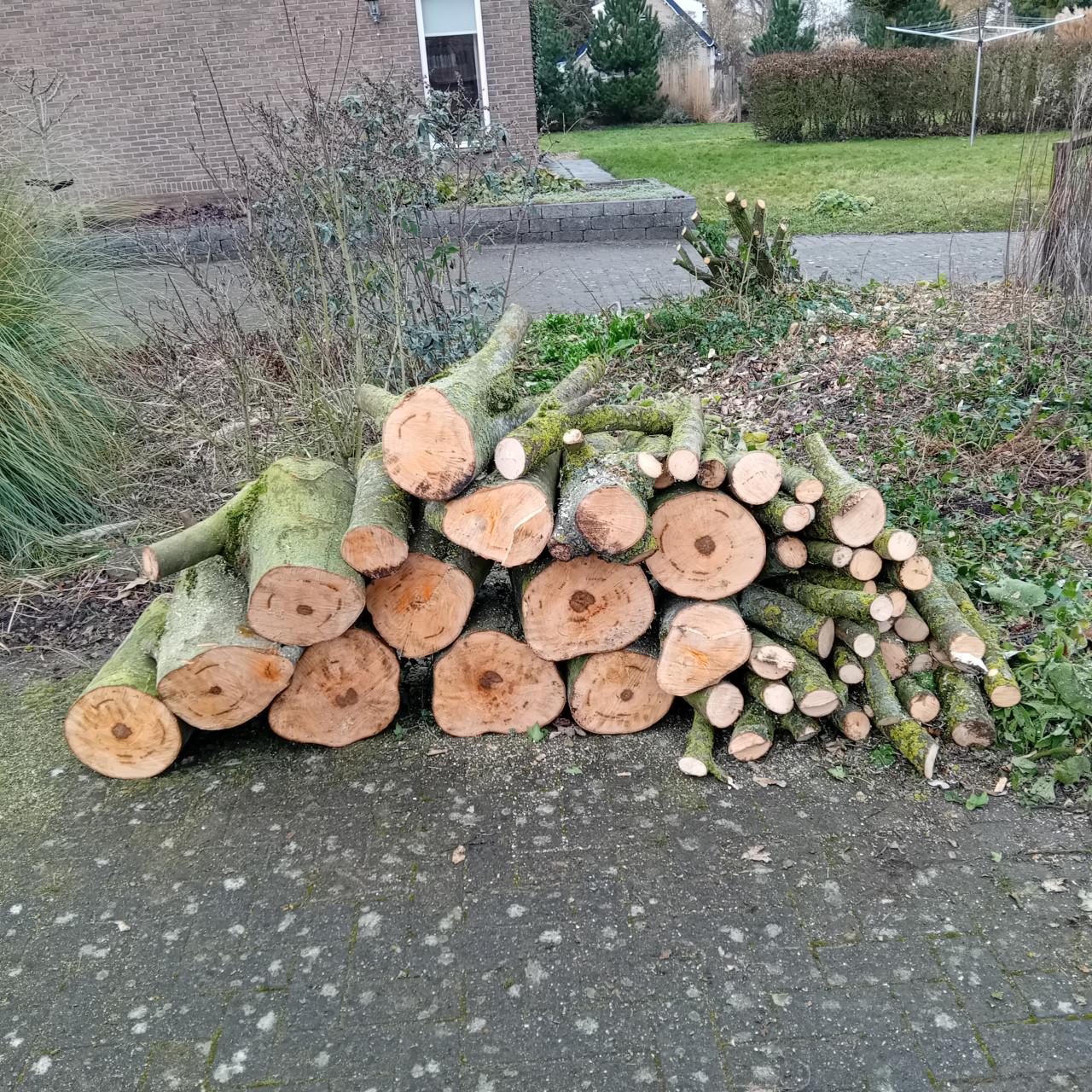 Te koop ruim een kuub open haard hout Esdoorn