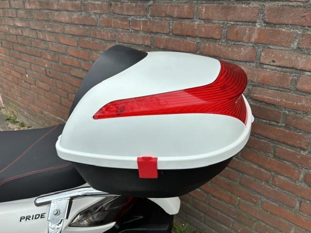GEEN RIJBEWIJS ? NIET NODIG MET DEZE STOERE NIPPONIA PRIDE !