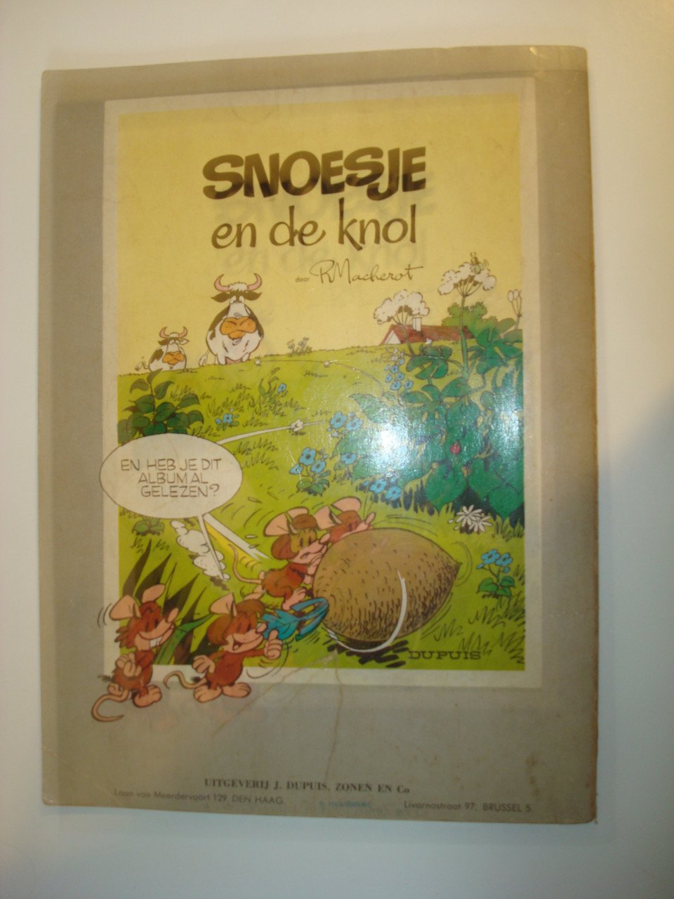 Snoesje