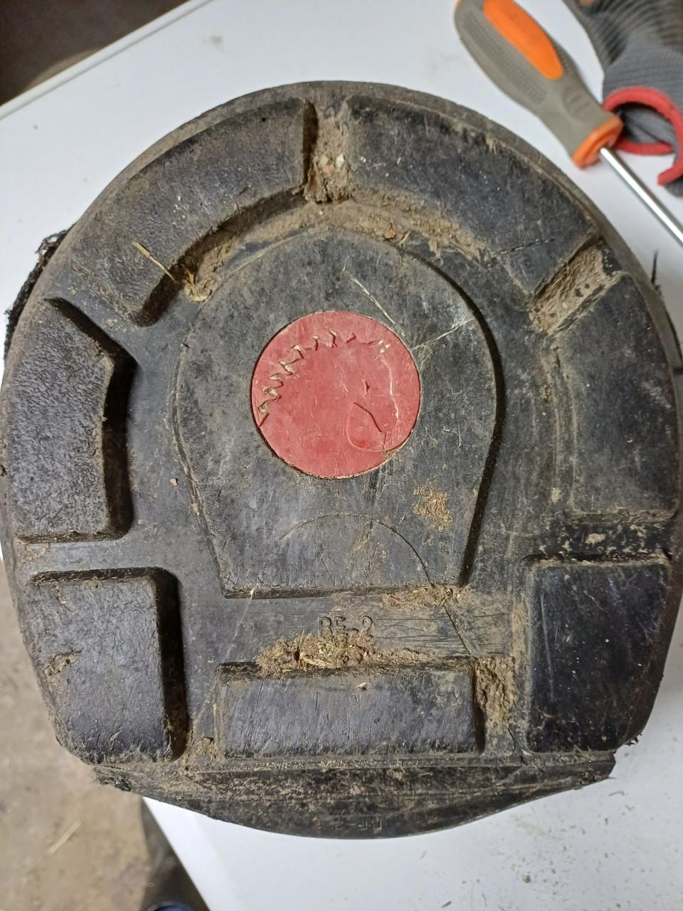 Hoefschoenen maat 10