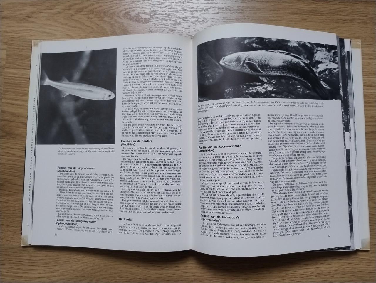 Complete 10 delige serie over de Geheimen van het Dierenrijk