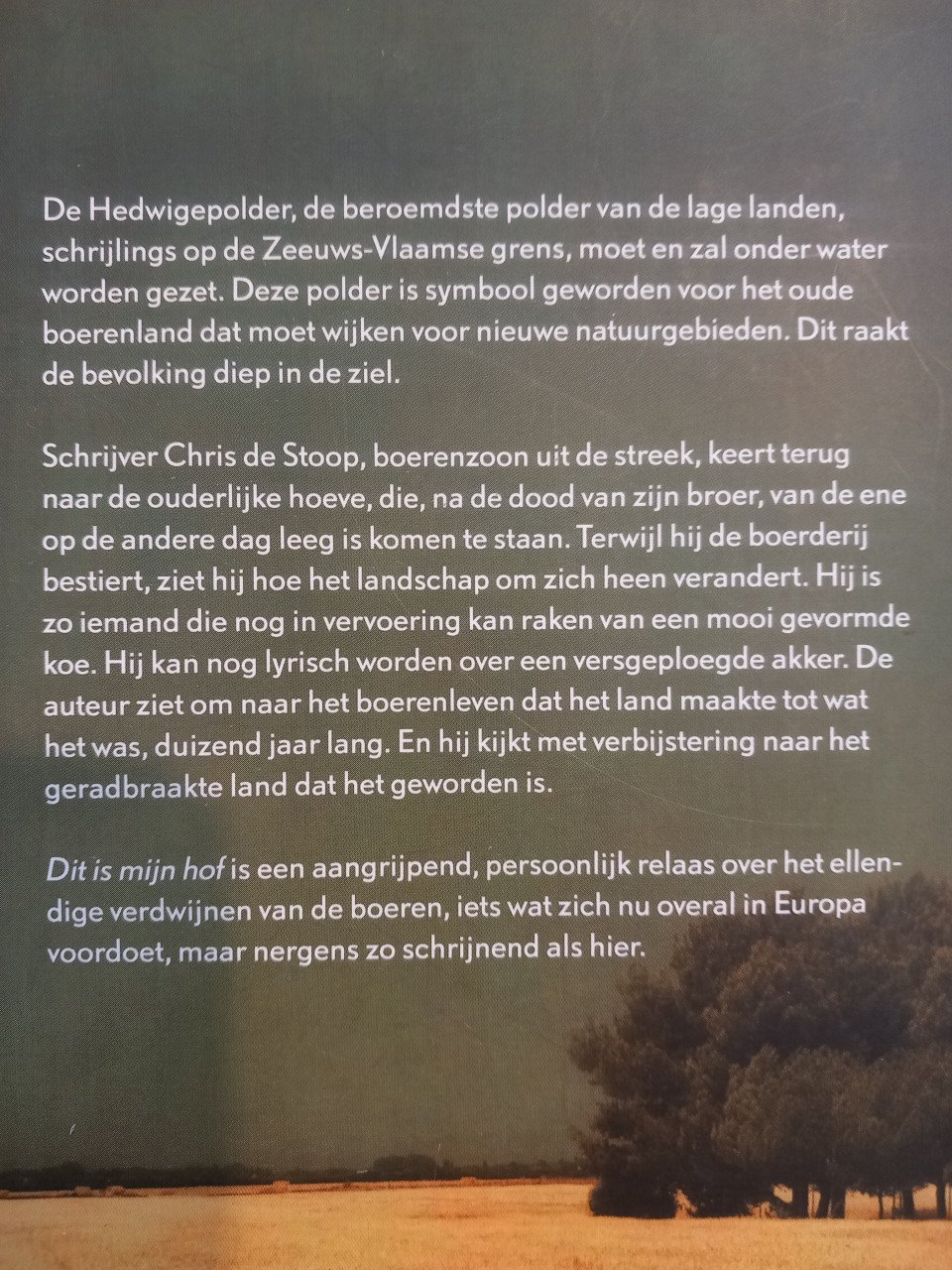 Dit is mijn hof
