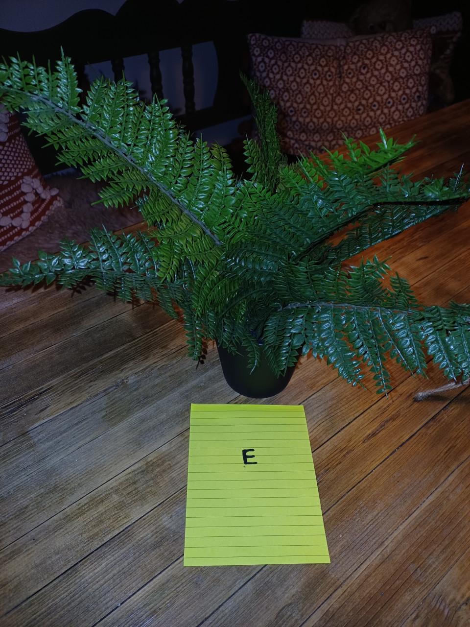 Kunstplanten