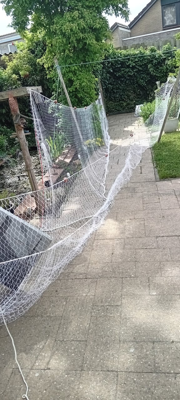 Zee visnetten (staand want)