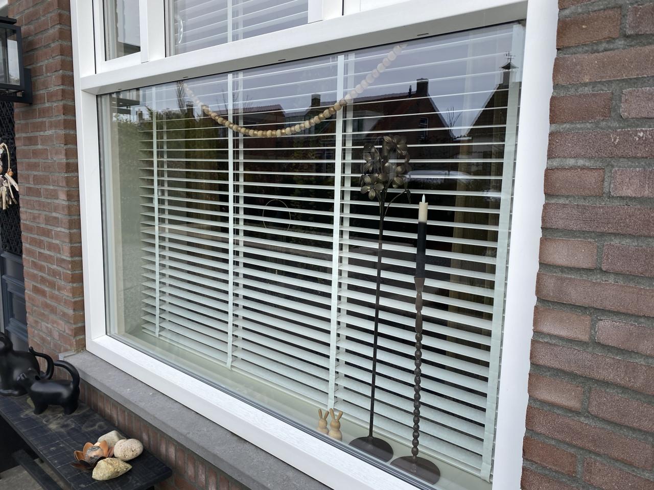 Zware witte JALOEZIEËN