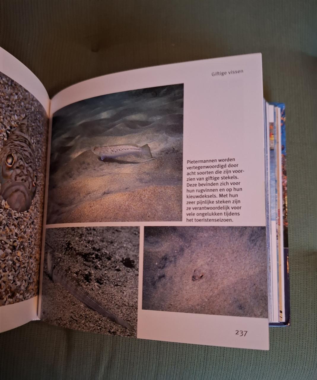 Vissen en walvissen, 1001, foto's, red. Pascal Deynat, blokboek