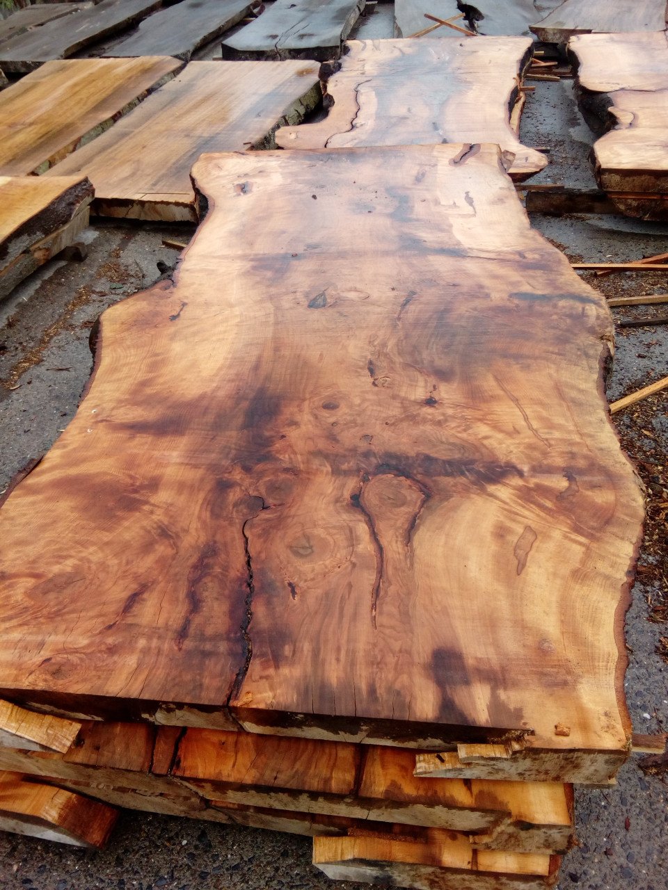 Boomstam tafels planken wandplanken decoratie bartafel salontafel