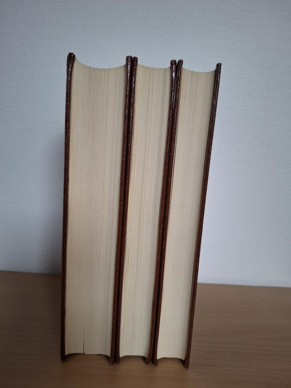 Verklaring van de bijbel, De evangeliën, Joh. Calvijn