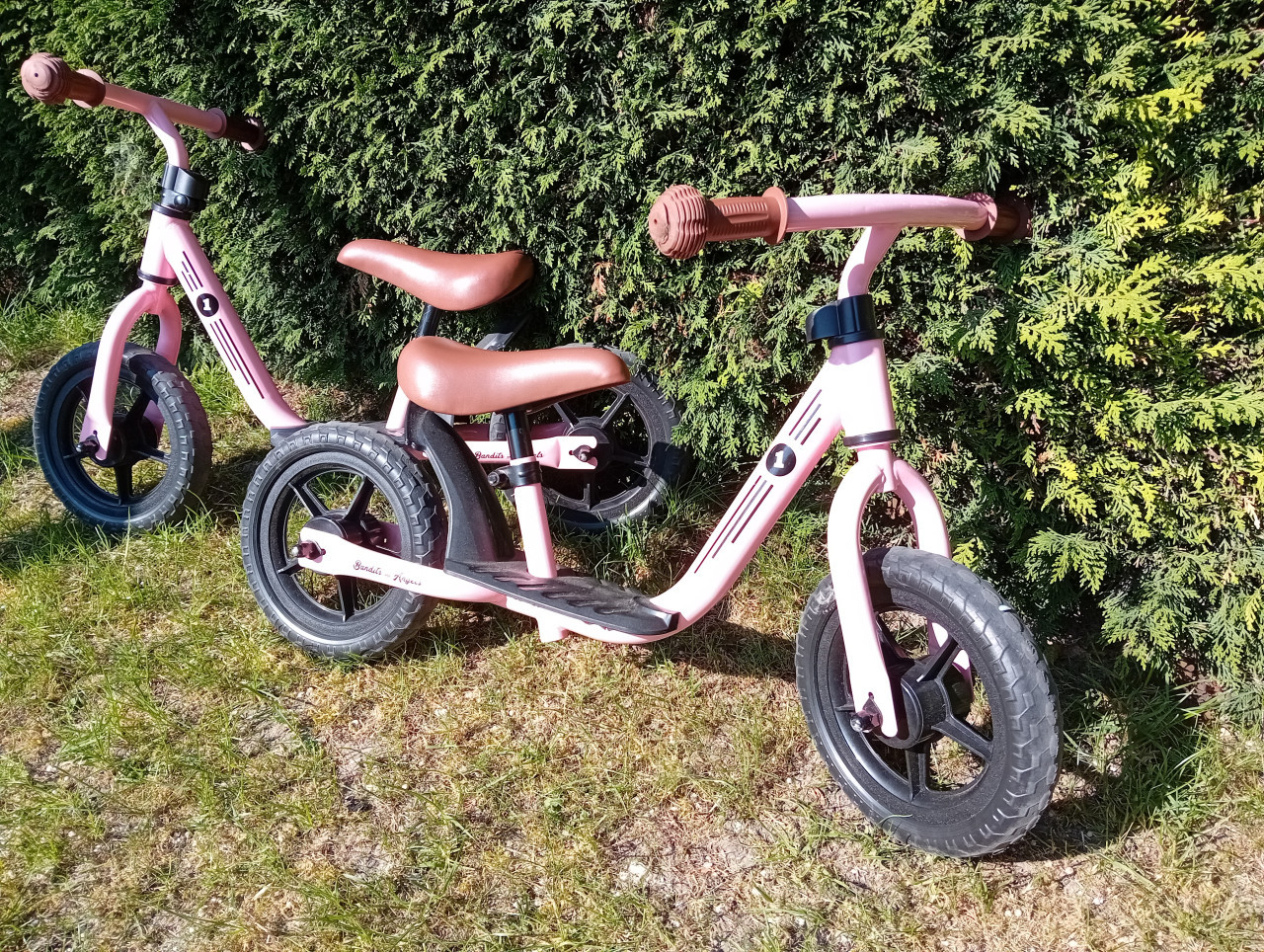Loopfietsje  voor meisjes