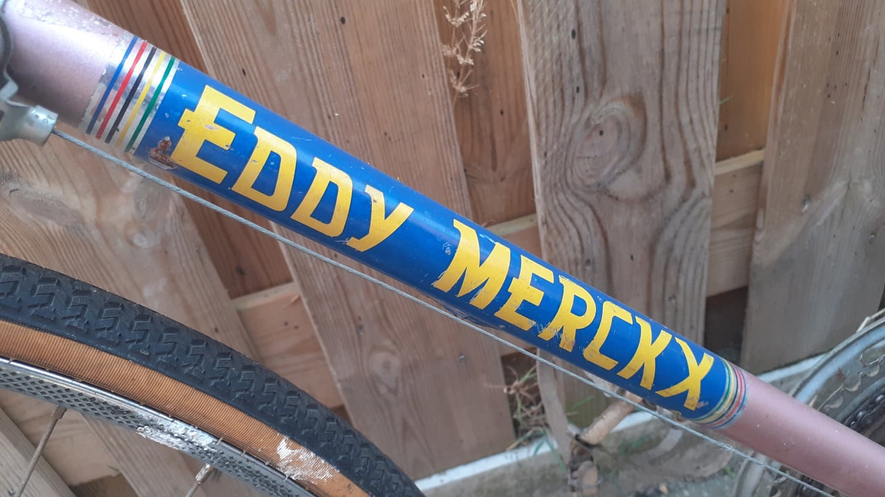4 x Racefiets GIANT & GAZELLE -XXL &. Motobecane ....& EDDIE-MERKX