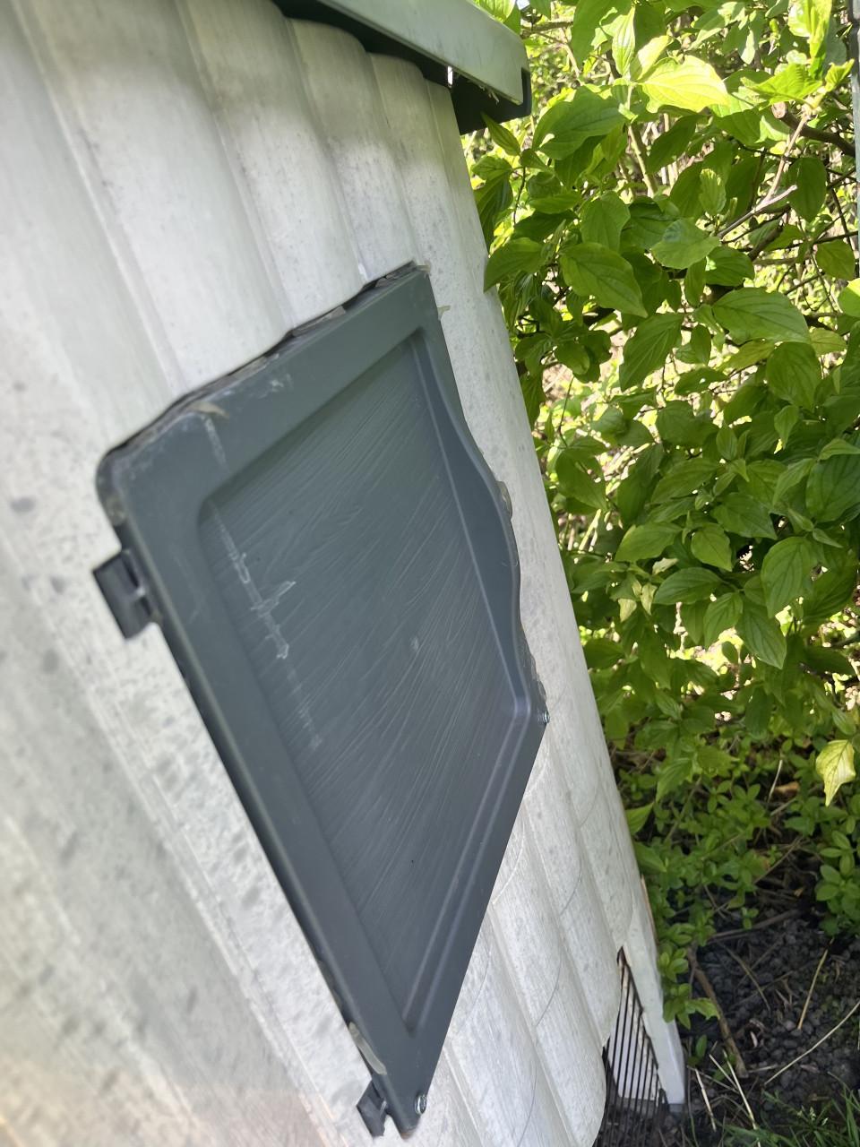 Konijnhok plus konijn