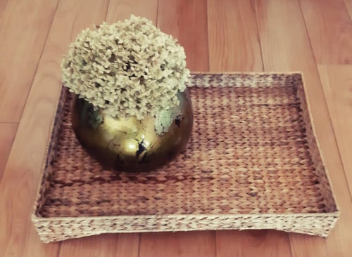 Decoratief blad van waterhyacint