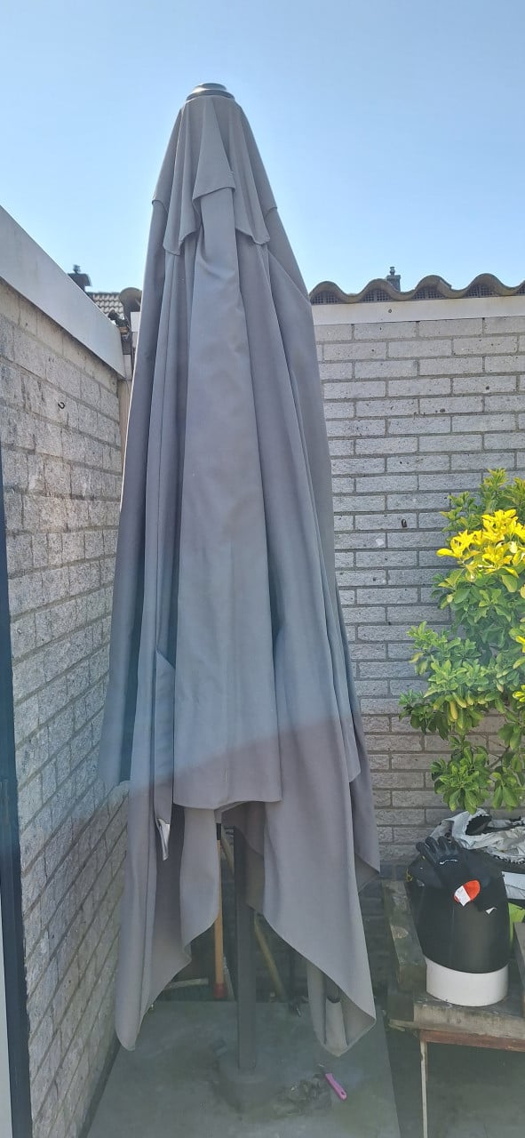 Parasol