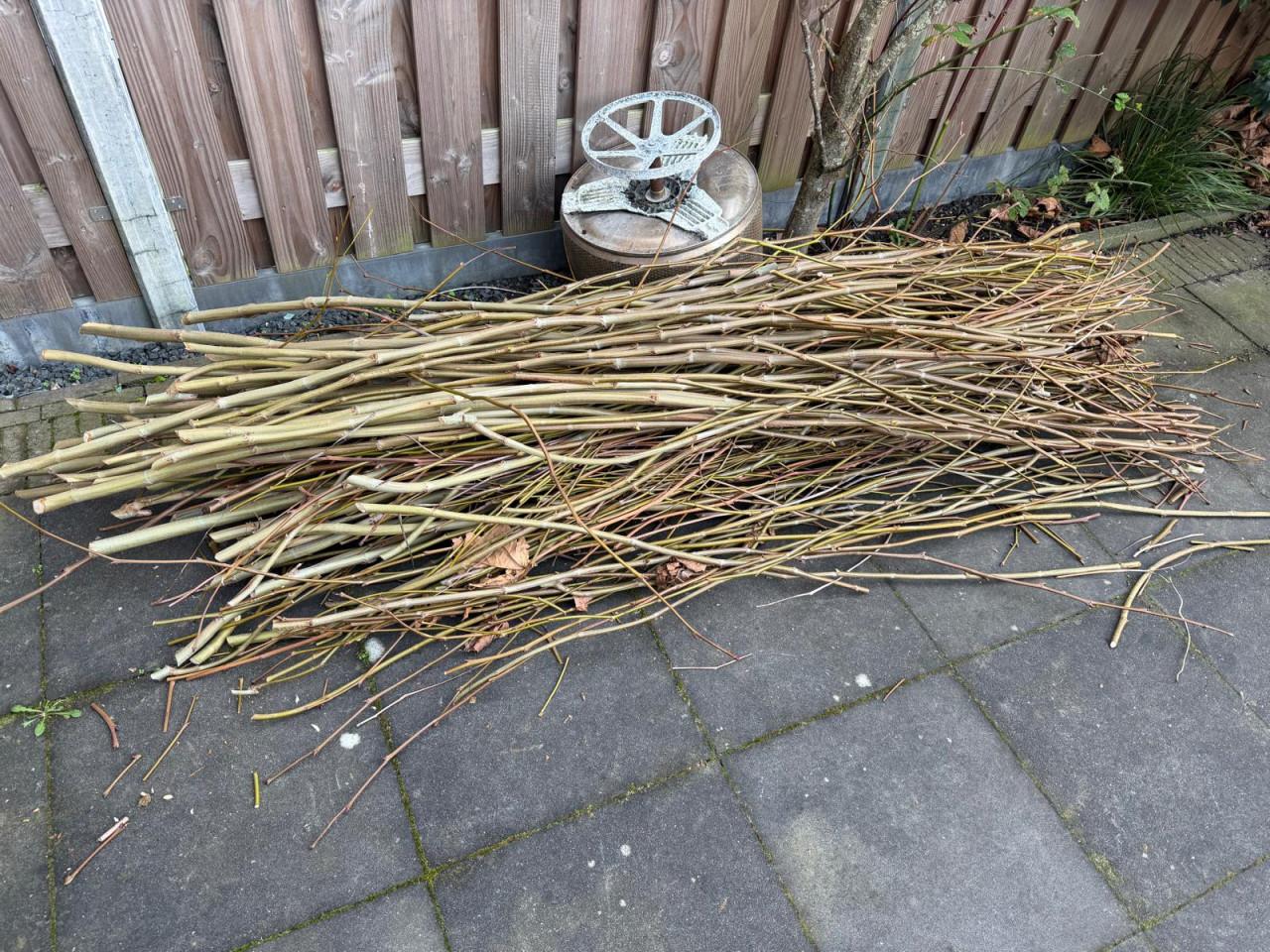 Gratis afhalen: Plantaan takken