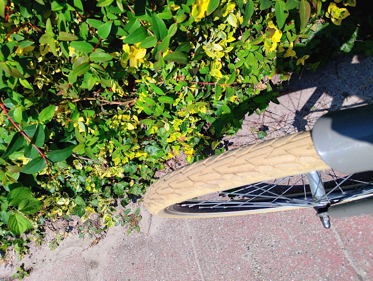 Jongensfiets