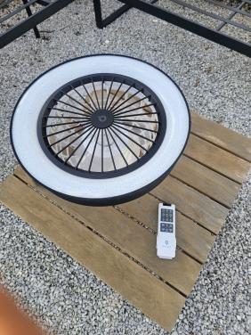 Plafondventilator met verlichting