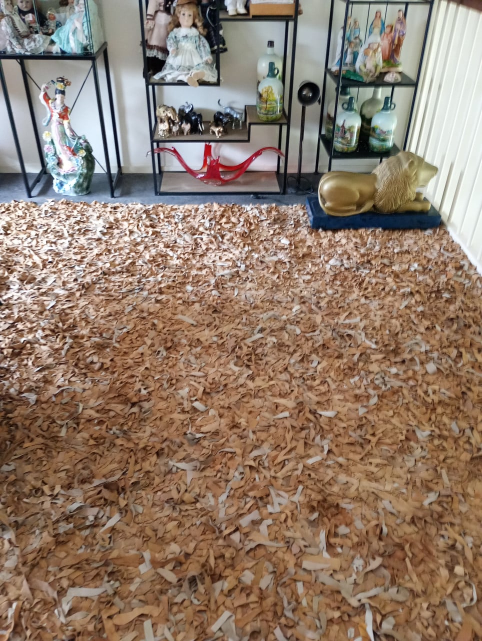 Vloerkleden